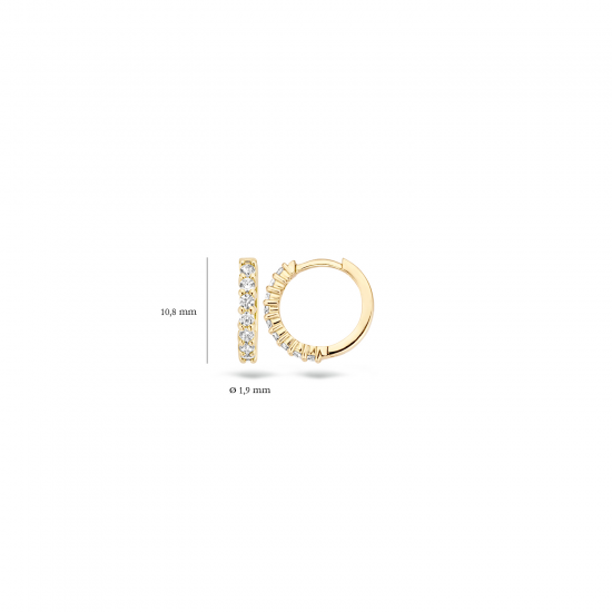 Blush Ooringen Geelgoud met Zirconia 7134YZI 1,8cm - 47489