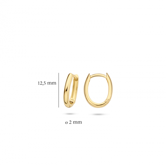 Blush Oorringen Geelgoud 7224YGO 12,5mm - 46180