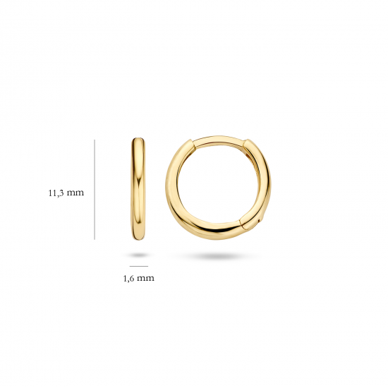 Blush Oorringen Geelgoud 7233YGO 11,3mm - 46420