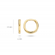 Blush Oorringen Geelgoud 7233YGO 11,3mm - 46420
