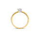 Blush Ring met Zirkonia Geelgoud 1126BZI MAAT 17 - 47906
