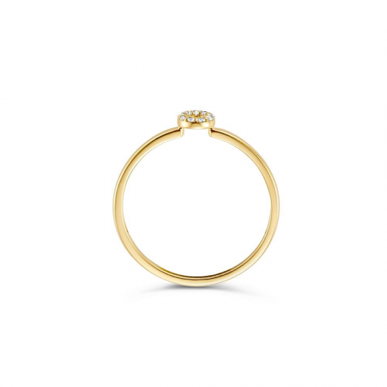 Blush Ring Rondje met Zirkonia Geelgoud 1217YZI MAAT 16,5 - 48632