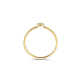 Blush Ring Rondje met Zirkonia Geelgoud 1217YZI MAAT 16,5 - 48632