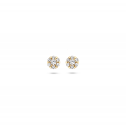 Blush oorbellen Geelgoud met zirkonia 7241YZI MAAT 5,2mm - 48806