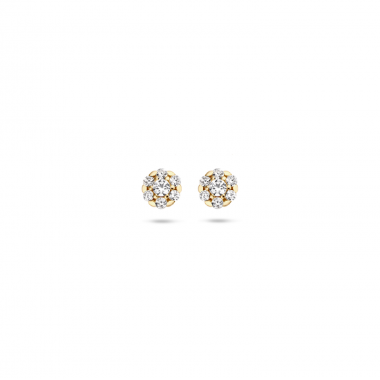Blush oorbellen Geelgoud met zirkonia 7241YZI MAAT 5,2mm - 48806