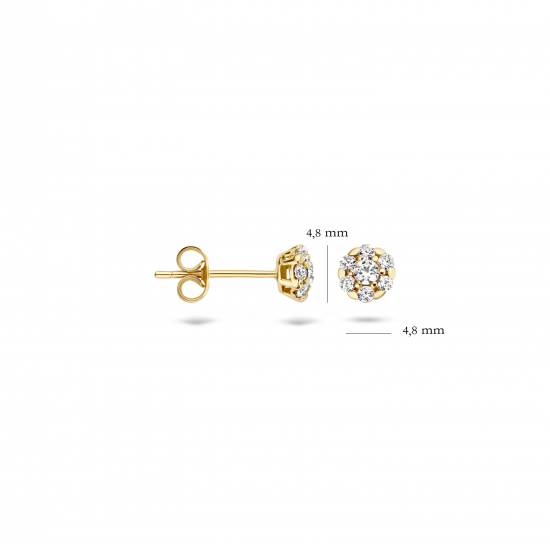 Blush oorbellen Geelgoud met zirkonia 7241YZI MAAT 5,2mm - 48806