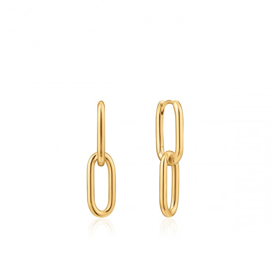 ANIA HAIE Goudkleur Cable Link Earrings 2,5cm - 48794