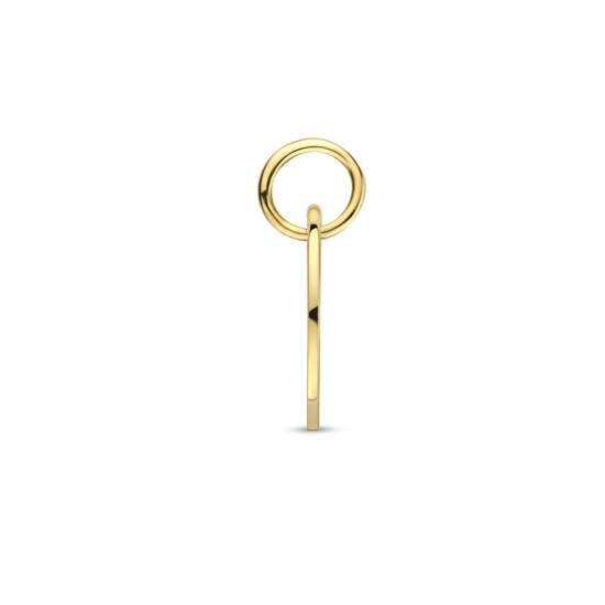 Gouden hanger sterrenbeeld Ram - 49662