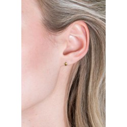 ZINZI zilveren oorknopjes goudverguld studs ZIO2167G - 49977