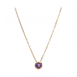 Swing Jewels Geboortesteen Collier Geelgoud Februari Amethist C-K14-W1327-AM MAAT 42+3CM - 50079