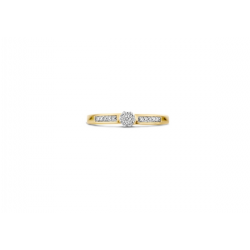 Blush Diamonds Ring Geel en WitGoud met Diamant  0.12ct 1623BDI MAAT 17 - 49698