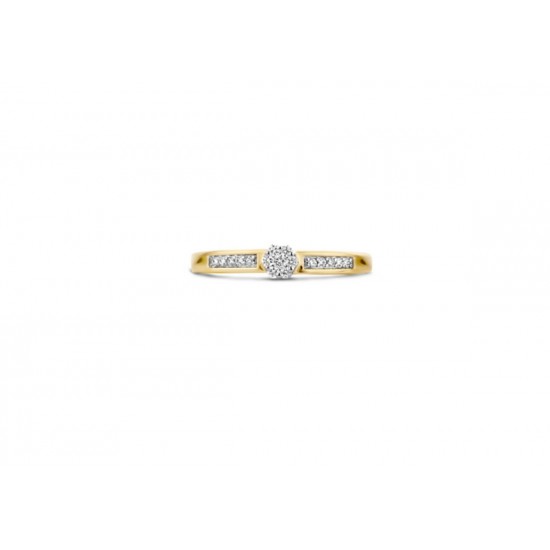 Blush Diamonds Ring Geel en WitGoud met Diamant  0.12ct 1623BDI MAAT 17 - 49698