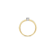 Blush Diamonds Ring Geel en WitGoud met Diamant  0.12ct 1623BDI MAAT 17 - 49698