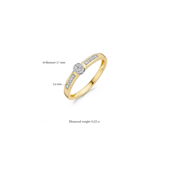 Blush Diamonds Ring Geel en WitGoud met Diamant  0.12ct 1623BDI MAAT 17 - 49698