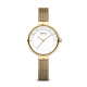 Solar | goud gepolijst/geborsteld | 14631-324| 31mm - 50215