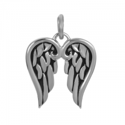 iXXXi Pendant Wings Zilverkleurig - 47379