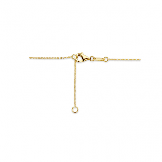 14k Geelgouden collier met draaglengtes van 42,5 en 45,5 cm - 50477