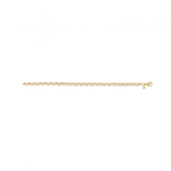 Blush Armband Ovaal Jasseron  Geelgoud 2162YGO MAAT 18cm - 50700