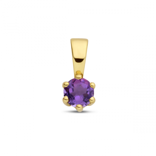 Geelgouden geboortesteen hanger Amethist - 51318