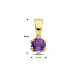 Geelgouden geboortesteen hanger Amethist - 51318