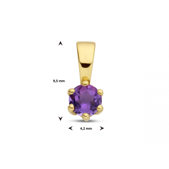 Geelgouden geboortesteen hanger Amethist - 51318