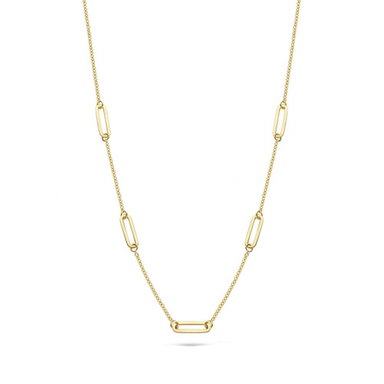 Blush Collier met Closed forever schakel bedel Geelgoud 3102YGO MAAT42 cm - 47814