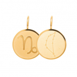 iXXXi pendant Capricorn Goudkleurig MAAT 16mm - 51060