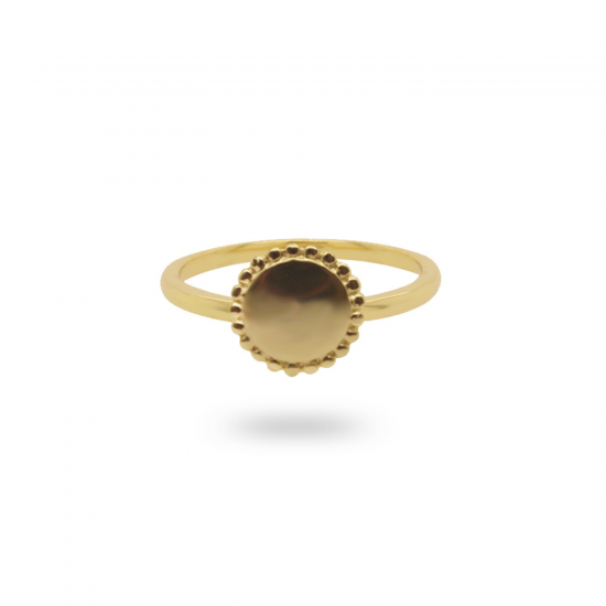 24Kae Ring met muntje zilver verguld 12425Y MAAT 18 - 48593