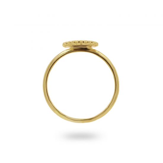 24Kae Ring met muntje zilver verguld 12425Y MAAT 18 - 48593