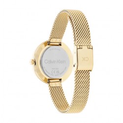 Calvin klein Dames horloge CK25200186 - 53206