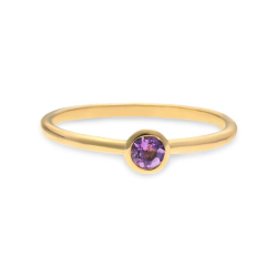 Swing Jewels Geboortesteen Ring Geelgoud Februari Amethist MAAT 17 - 49392