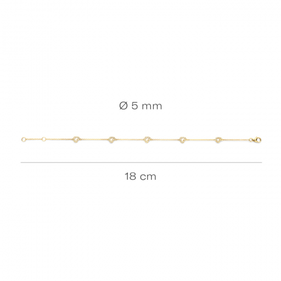 Blush Armband 2211YZI met hartjes 14krt geelgoud met zirkonia - 53985