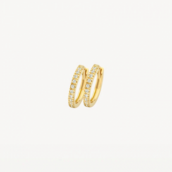 BLUSH 14krt geelgouden creolen met zirkonia 7307YZI - 53989