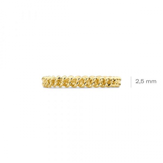 BLUSH 14krt geelgouden schakelring maat 17 1247YGO-54 - 53993