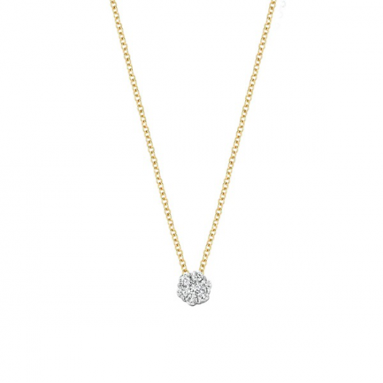 Blush Collier 14k Geel en Wit Goud met Diamant 0.05 MAAT 42cm 3602BDI - 49519