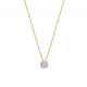 Blush Collier 14k Geel en Wit Goud met Diamant 0.05 MAAT 42cm 3602BDI - 49519