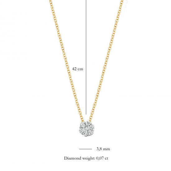 Blush Collier 14k Geel en Wit Goud met Diamant 0.05 MAAT 42cm 3602BDI - 49519