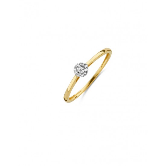 Blush Diamonds ring bicolor 0.04 crt 1646BDI/54 - 49506