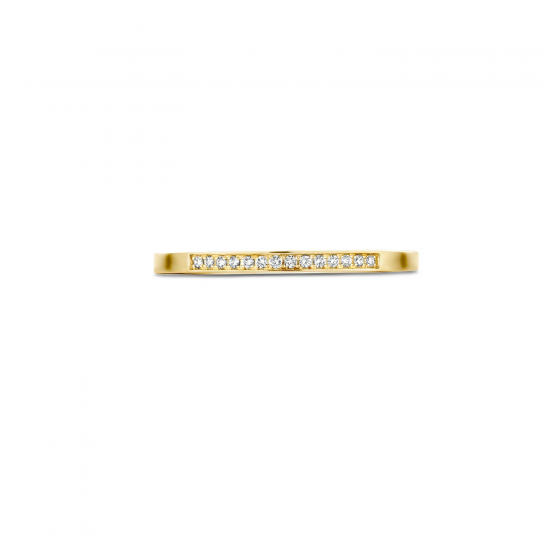 Blush Diamonds ring 14k Geel en Wit Goud met Diamant 0,06crt MAAT 17 1630BDI/54 - 49513