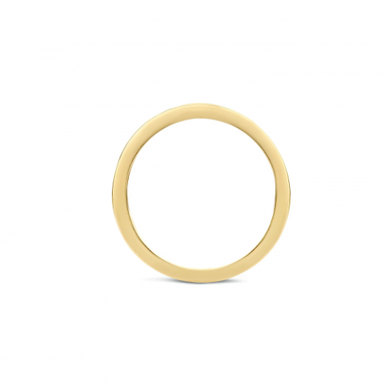 Blush Diamonds ring 14k Geel en Wit Goud met Diamant 0,06crt MAAT 17 1630BDI/54 - 49513