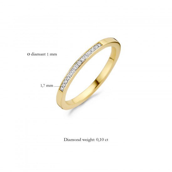 Blush Diamonds ring 14k Geel en Wit Goud met Diamant 0,06crt MAAT 17 1630BDI/54 - 49513