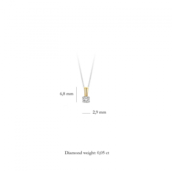 Blush Hanger 14k Geel en Wit Goud met Diamant 0.05crt MAAT 2,9mm 6600BDI - 49521