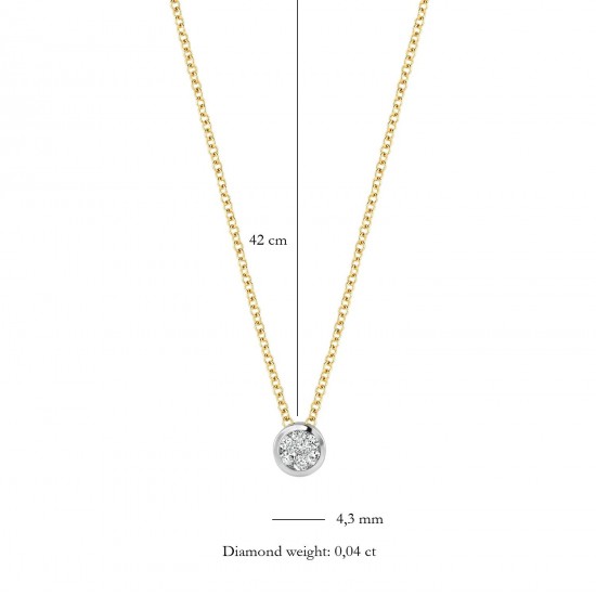 Blush Collier 14k Geel en Wit Goud met Diamant 0,04 MAAT 42cm 3600BDI - 49524