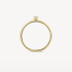 Blush Ring Geelgoud met Zirkonia 1200YZI MAAT 17 - 54398