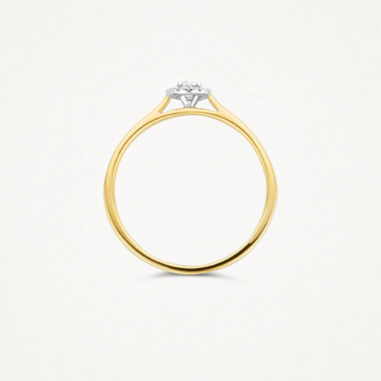 Blush Diamonds ring bicolor 0.15 crt 1648BDI/54 MAAT 17 - 54397