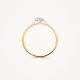 Blush Diamonds ring bicolor 0.15 crt 1648BDI/54 MAAT 17 - 54397