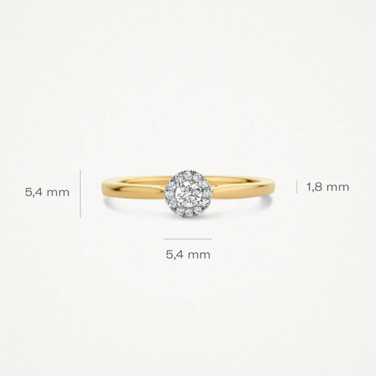 Blush Diamonds ring bicolor 0.15 crt 1648BDI/54 MAAT 17 - 54397