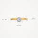 Blush Diamonds ring bicolor 0.15 crt 1648BDI/54 MAAT 17 - 54397