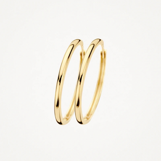 BLUSH 14 KARAAT GOUDEN OORBELLEN 7311YGO - 54644