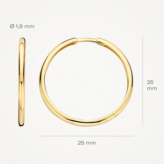 BLUSH 14 KARAAT GOUDEN OORBELLEN 7311YGO - 54644